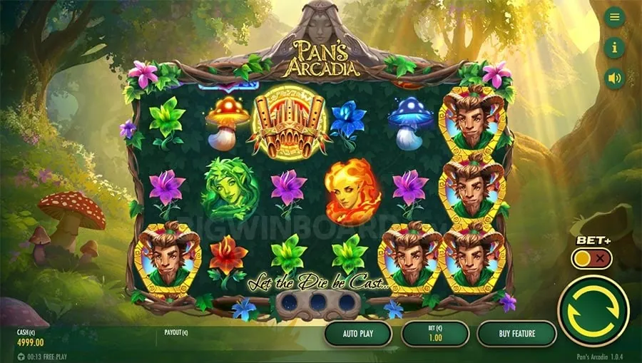 Elegant Live Casino Table